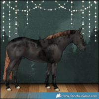 Horse Color:Void Liver Chestnut Tobiano Frame 