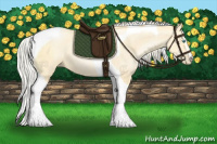 Horse Color:Palomino Pearl Sabino Tobiano 