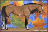 Horse Color:Bay Splash Frame 
