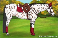 Horse Color:Bay Near Leopard