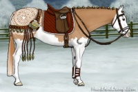 Horse Color:Chestnut Splash