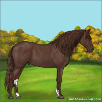 Horse Color:Gray Red Roan 