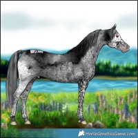 Horse Color:ERROR: UNKNOWN ANOMALY