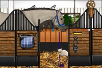 Horse Color:Smoky Grullo Roan Tobiano 