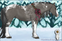 Horse Color:Grullo Splash Tobiano