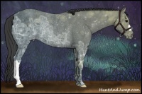 Horse Color:Black Ice Varnish Rabicano 