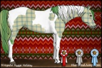 Horse Color:Watercolor Plaid Bay Tobiano
