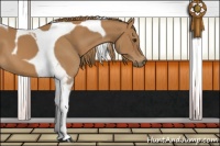 Horse Color:Chestnut Tobiano