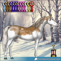 Horse Color:White Spotted Chocolate Palomino Mushroom Splash 