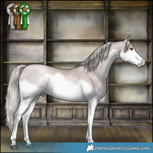 Horse Color:Platinum White Spotted Liver Chestnut Pearl Splash 