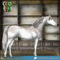 Horse Color:Platinum White Spotted Liver Chestnut Pearl Splash 