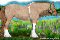 Horse Color:Red Roan Tobiano 