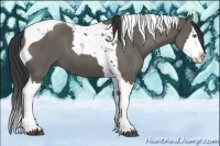 Horse Color:Grullo Splash Tobiano 