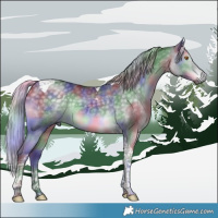 Horse Color:Nacre Silver Black Chinchilla Tobiano 