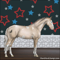 Horse Color:White Spotted Silver Smoky Black Pearl Splash Rabicano 