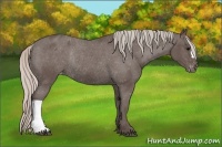 Horse Color:Silver Black Varnish Rabicano