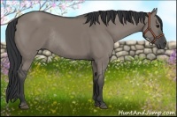 Horse Color:Grullo Rabicano 
