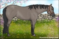 Horse Color:Grullo Rabicano 