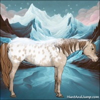 Horse Color:Grullo Roan Pearl Appaloosa