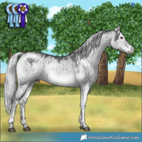 Horse Color:White Spotted Silver Grullo Chinchilla Tobiano Brindle