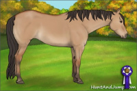 Horse Color:Bay Dun