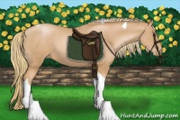 Horse Color:Chestnut Pearl Tobiano