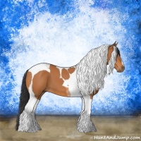 Horse Color:Bay Tobiano 