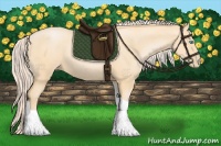 Horse Color:Palomino Pearl Tobiano