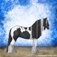 Horse Color:Black Tobiano 