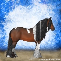 Horse Color:Bay Tobiano 