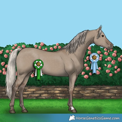 Horse Color:Silver Grullo Rabicano 