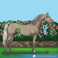 Horse Color:Silver Grullo Rabicano 