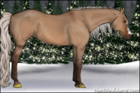 Horse Color:Silver Bay Dun