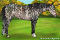 Horse Color:Gray Platinum Perlino  and Gray Platinum Brown 