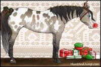 Horse Color:Brown Dun Splash Appaloosa 
