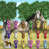 Horse Color:Gray Brown Dun Sabino Splash Tobiano Brindle 