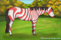 Horse Color:Bay Roan Dun 