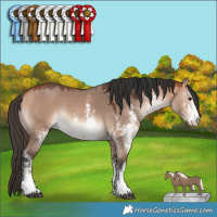 Horse Color:White Spotted Bay Dun Mushroom
