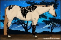 Horse Color:Void Red Dun Splash Tobiano 