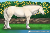 Horse Color:Palomino Pearl Mushroom Splash Tobiano 