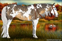 Horse Color:White Spotted Silver Smoky Black Splash Rabicano 