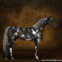 Horse Color:White Spotted Midnight Chocolate Palomino Mushroom Rabicano