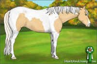 Horse Color:Silver Classic Cream Champagne Tobiano Varnish 