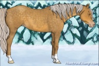 Horse Color:Silver Classic Cream Champagne Roan 