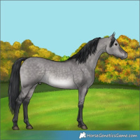 Horse Color:Platinum Brown Dun