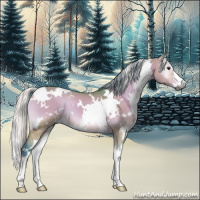 Horse Color:Gray Watercolor White Spotted Silver Brown Onyx Sabino