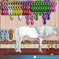 Horse Color:White Spotted Silver Smoky Grullo Splash Appaloosa Rabicano