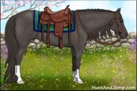 Horse Color:Smoky Blue Roan 