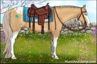 Horse Color:White Spotted Gold Cream Champagne Appaloosa 