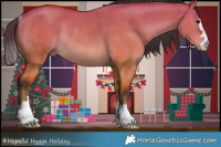 Horse Color:Bay Dun Rabicano 